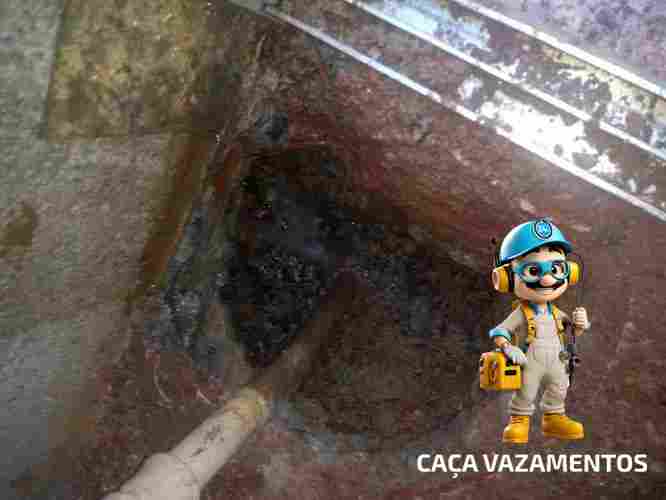 Detecção especializada de vazamento com detector Geofone