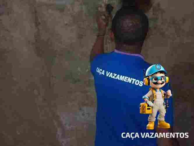 Serviço profissional de detecção de vazamento com preço baixo