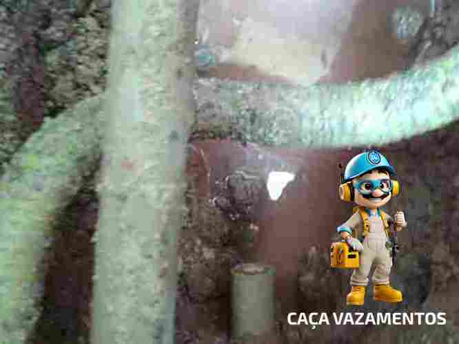 Conserto de infiltração de água barato São Domingos na Zona Oeste